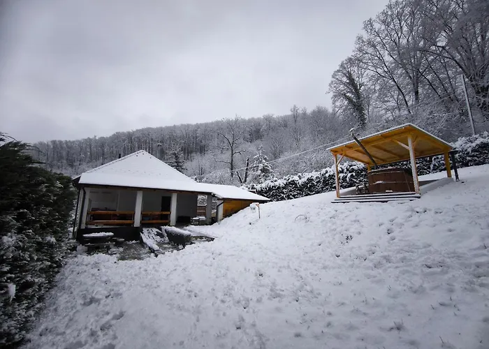 Forest Residence Miskolc